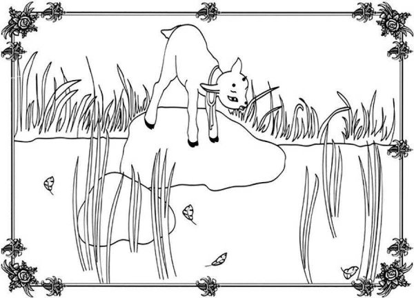 Сестрица Аленушка и братец Иванушка раскраска