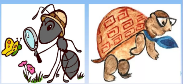 Муравьишка и черепаха окружающий мир