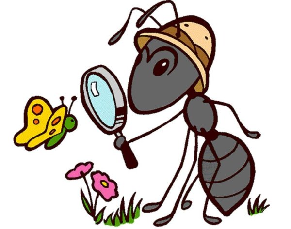 Муравьишка вопросик и мудрая черепаха