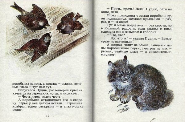 Чарушин Воробьишко