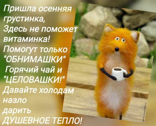 Позитивное настроение высказывания