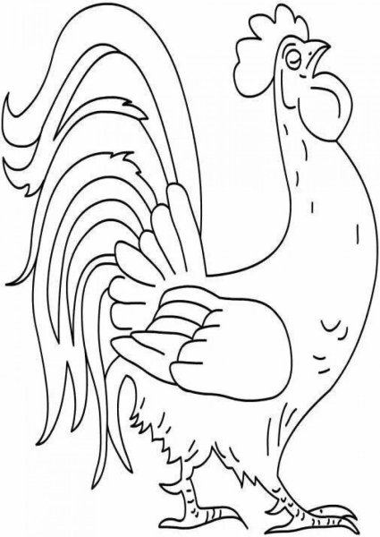 Петушок и бобовое зернышко раскраска
