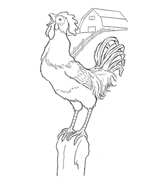 Сказка о золотом петушке раскраска