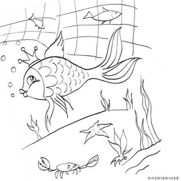 Картинки раскраски золотая рыбка по сказке а с пушкина (52 фото)