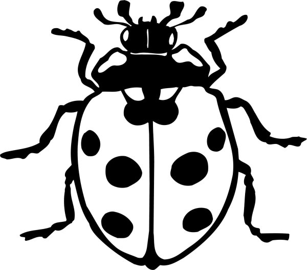 Раскраска Жук Божья коровка