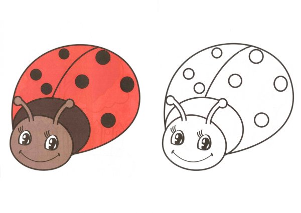 Божья коровка картинка для детей раскраска