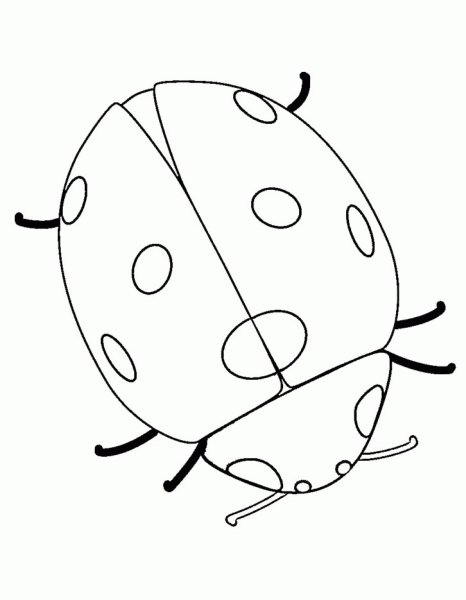 Божья коровка раскраска