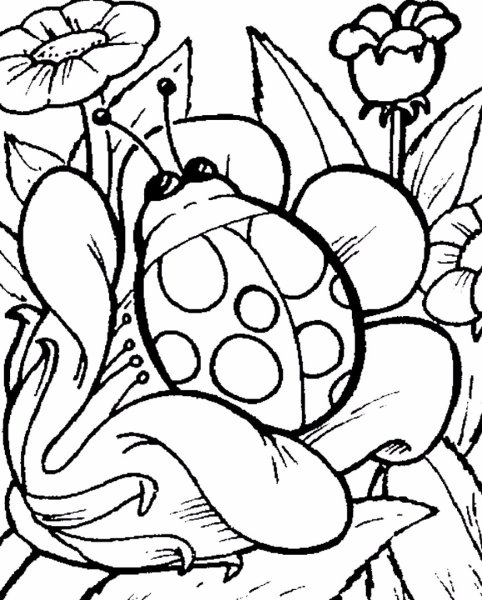 Божья коровка раскраска