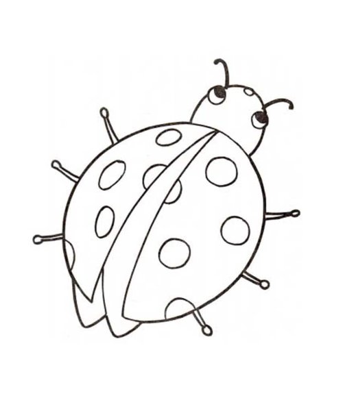 Разукрашка для малышей Божья коровка