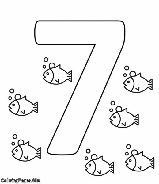 7 Coloring