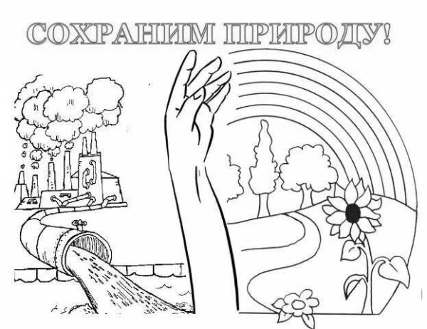 Раскраска берегите природу для детей
