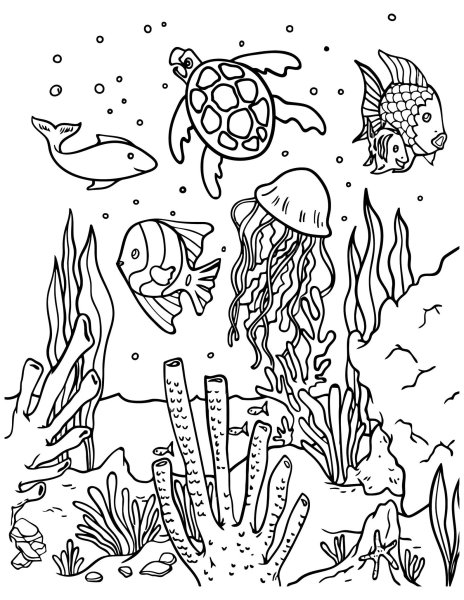 Картинки раскраски подводные (54 фото)