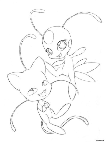 Раскраска КВАМИ Тикки