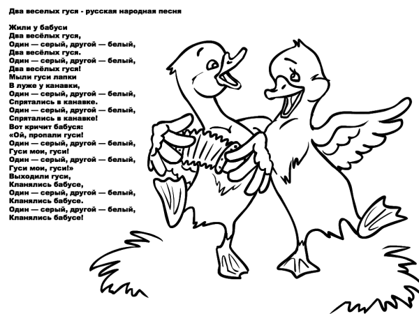 Раскраска 2 веселых гуся
