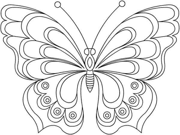 Раскраска "бабочки"
