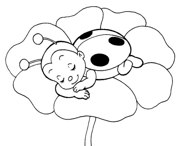 Божья коровка раскраска