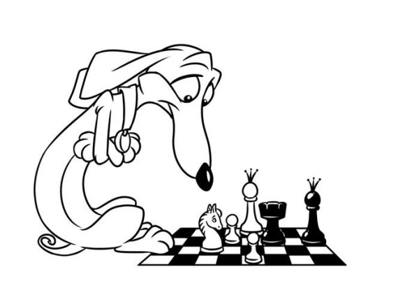 Шахматные раскраски