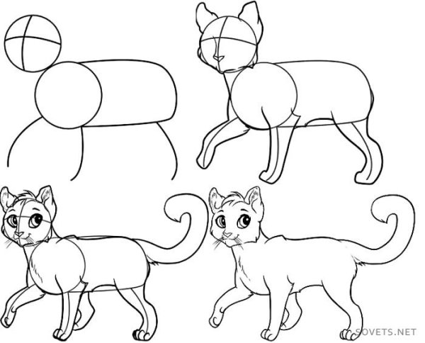 Поэтапное рисование кошки и собаки